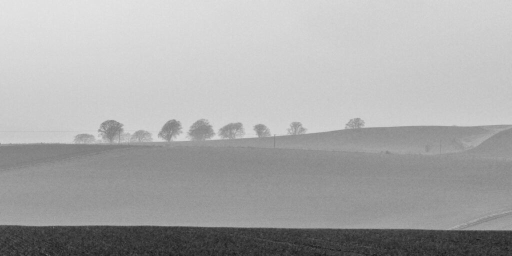 Aspect ratio of 2:1 - View from Bowmont Forest