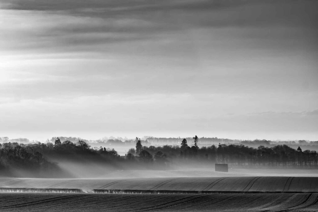 Misty morning light in the Borders